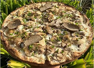 Mushroom and Truffle Tart